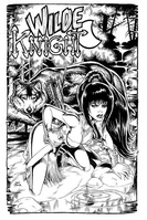 Wilde knight cover a