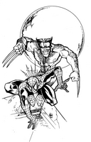 Spider-man  Wolverine commission art