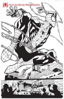 AMAZING SPIDER-MAN #1: SPECIAL EDITION INKS