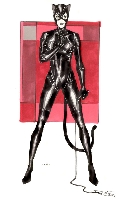 Catwoman Pin-Up