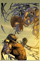 Witchblade/Wolverine