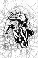 Spider-man/Black Cat