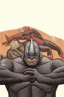 Amazing Spider-Man #617 variant