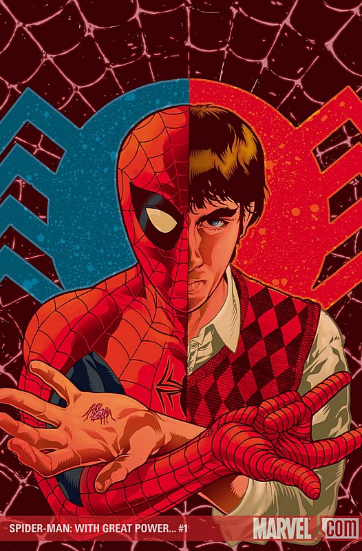 SPIDER-MAN: WITH GREAT POWER... #1 (of 5)