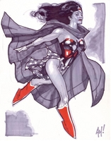 Wonder Woman by Adam Hughes
