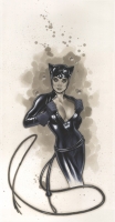 "Jon Hess" Catwoman by Adam Hughes