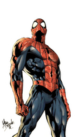 Spider-Man by Mike Deodato, Jr.