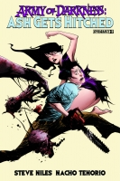 ARMY OF DARKNESS: ASH GETS HITCHED #2 (OF 4)