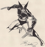 Dave Cockrum - Wolverine Pin-up