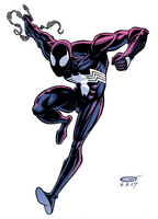 Spider-Man Black costume color