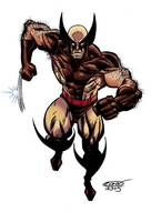 Wolverine color