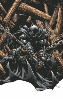 BATMAN: THE DARK KNIGHT #13