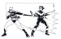 Batman & Nightwing