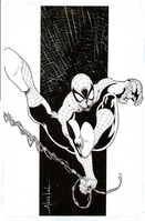 Spider-man by Alex Lei
