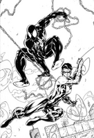 Nightwing & Spiderman