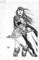 Donna Troy in Armour