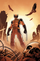 Timestorm 2009/2099: Wolverine