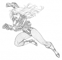 DC Heroes United Black Canary
