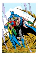 Batman -  Death Of Robin